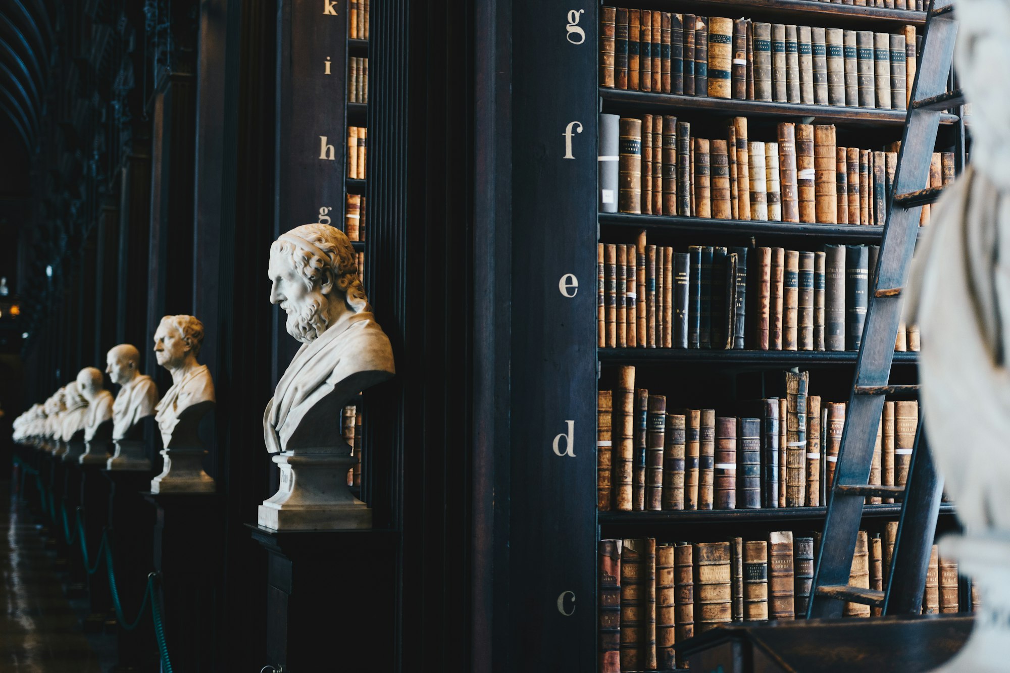 Biblioteca do escritório com bustos clássicos e livros antigos