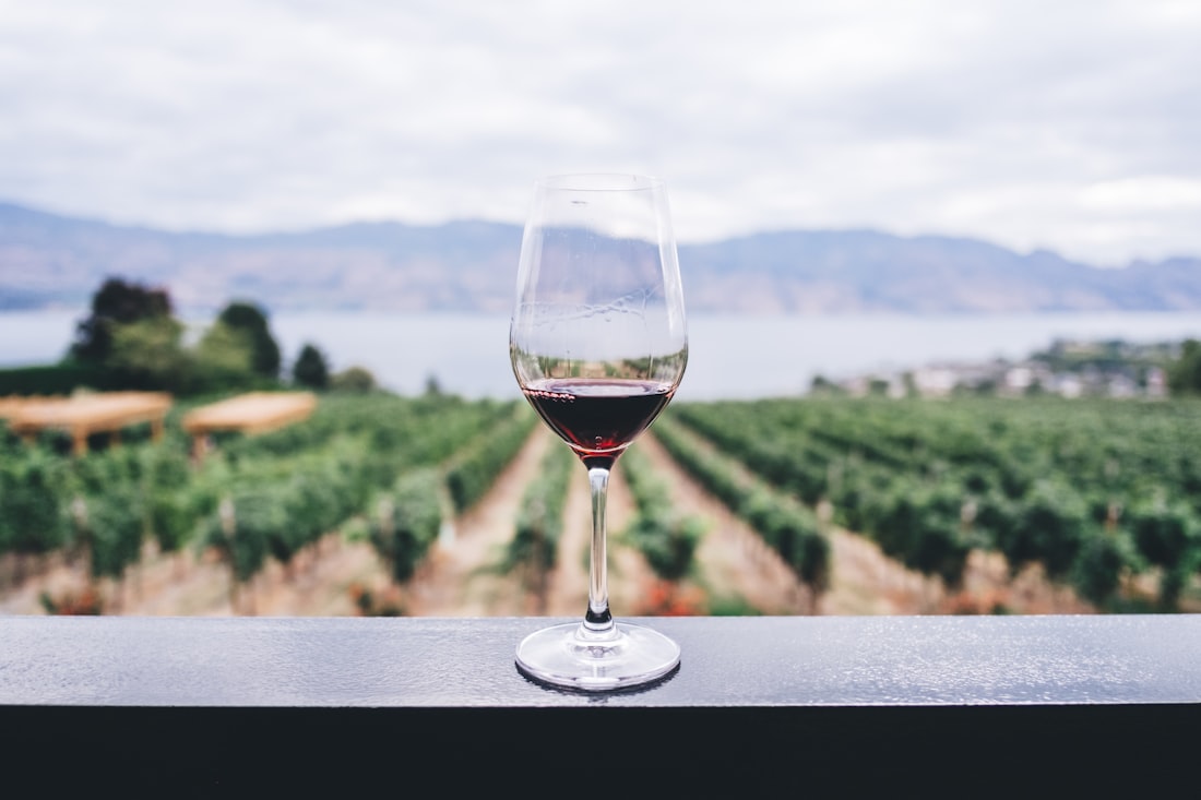 Vinho tinto a ser servido